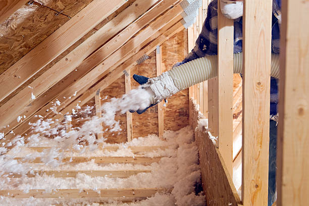 Best Crawl Space Insulation  in USA